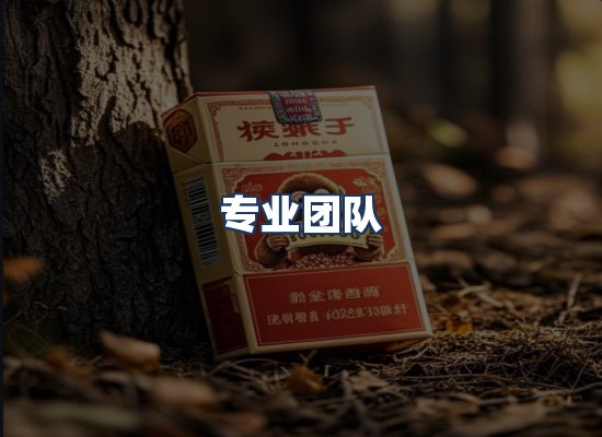 专业团队